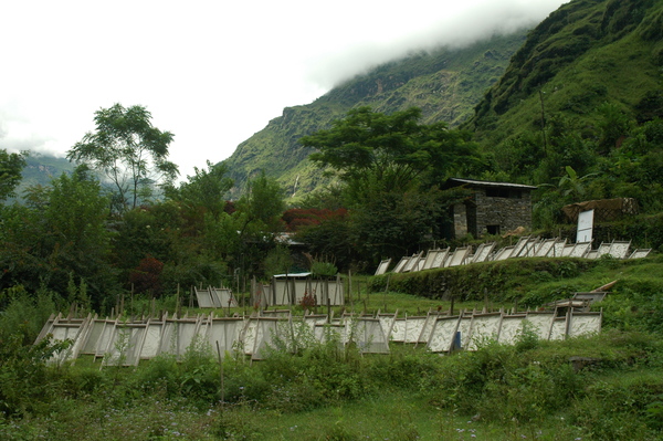 Molino de papel en Kodari - Nepal.