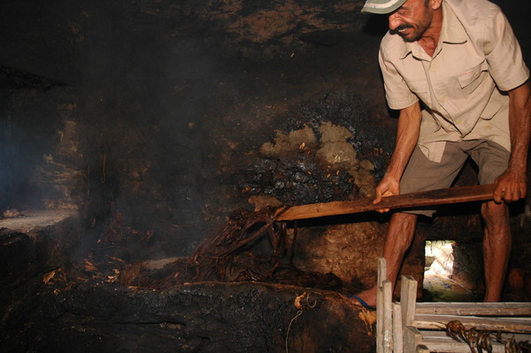 Cuisson de Lokta