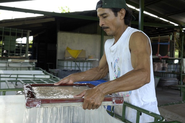 Papier fait de vit-de-mulet de bananier